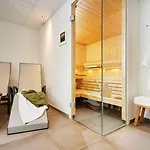 德里奇维勒霍夫酒店 4* 宁布雷希特